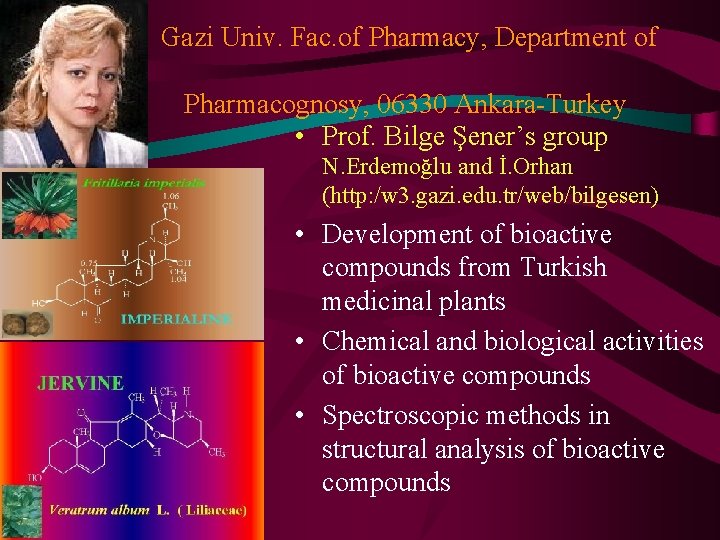 Gazi Univ. Fac. of Pharmacy, Department of Pharmacognosy, 06330 Ankara-Turkey • Prof. Bilge Şener’s Gazi Univ. Fac. of Pharmacy, Department of Pharmacognosy, 06330 Ankara-Turkey • Prof. Bilge Şener’s