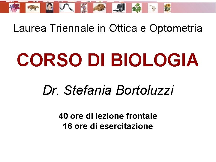  • Laurea Triennale in Ottica e Optometria CORSO DI BIOLOGIA Dr. Stefania Bortoluzzi