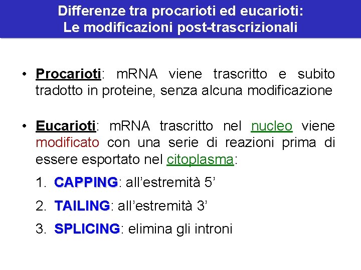 Differenze tra procarioti ed eucarioti: Le modificazioni post-trascrizionali • Procarioti: m. RNA viene trascritto