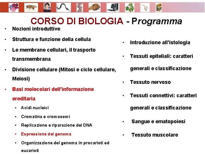 CORSO DI BIOLOGIA - Programma • Nozioni introduttive • Struttura e funzione della cellula