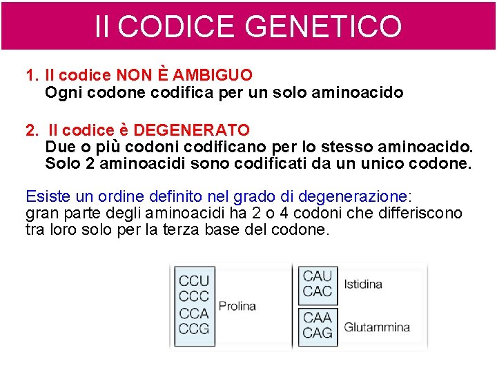 Il CODICE GENETICO 1. Il codice NON È AMBIGUO Ogni codone codifica per un