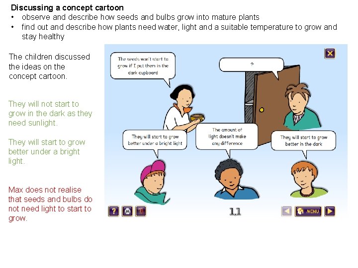 Discussing a concept cartoon • observe and describe how seeds and bulbs grow into