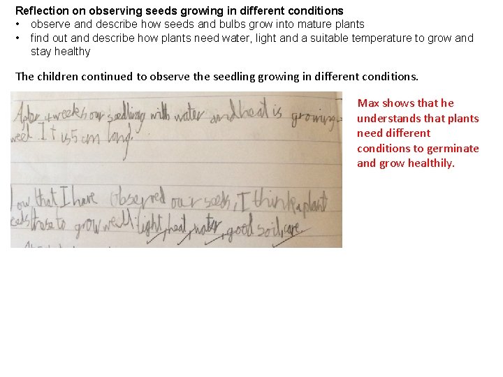 Reflection on observing seeds growing in different conditions • observe and describe how seeds