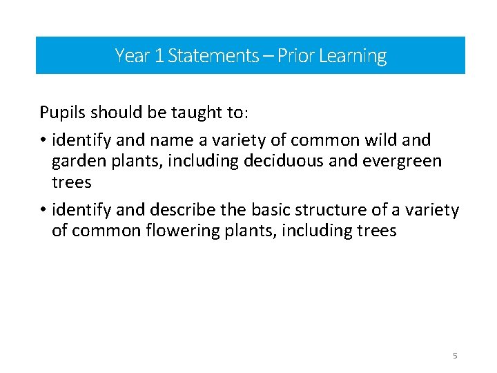 Year 1 Statements Learning Prior Learning Year– Prior 1 statements Pupils should be taught