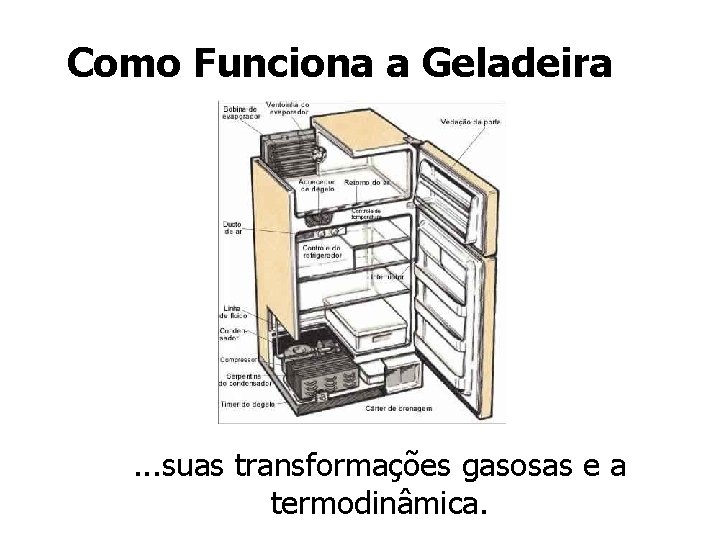 Como Funciona a Geladeira . . . suas transformações gasosas e a termodinâmica. 