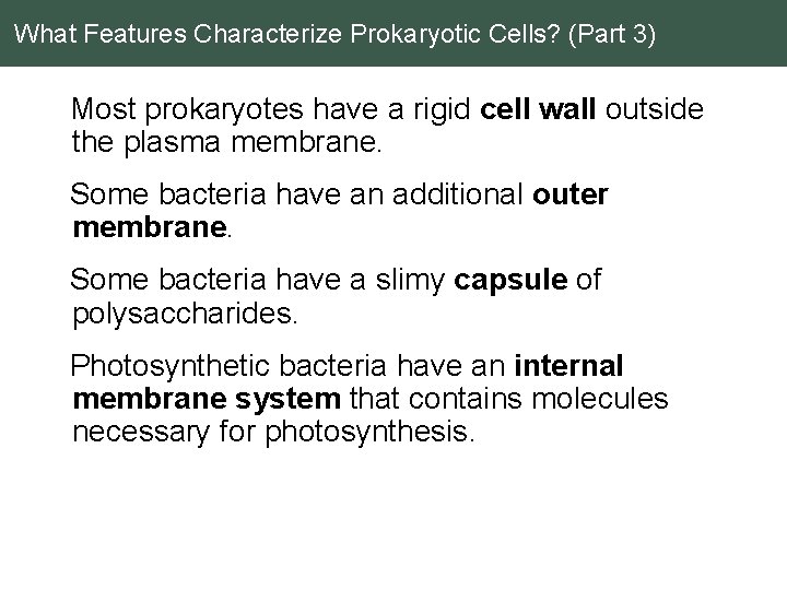 What Features Characterize Prokaryotic Cells? (Part 3) Most prokaryotes have a rigid cell wall