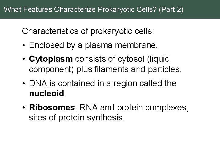 What Features Characterize Prokaryotic Cells? (Part 2) Characteristics of prokaryotic cells: • Enclosed by