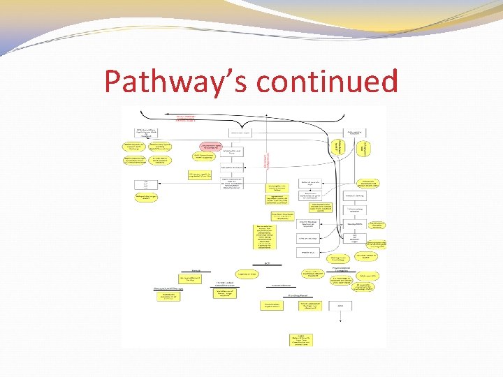 Pathway’s continued 
