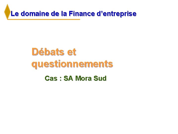 Le domaine de la Finance d’entreprise Débats et questionnements Cas : SA Mora Sud