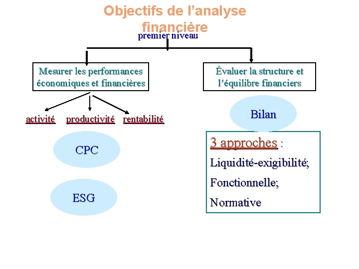 Objectifs de l’analyse financière premier niveau Mesurer les performances économiques et financières activité productivité