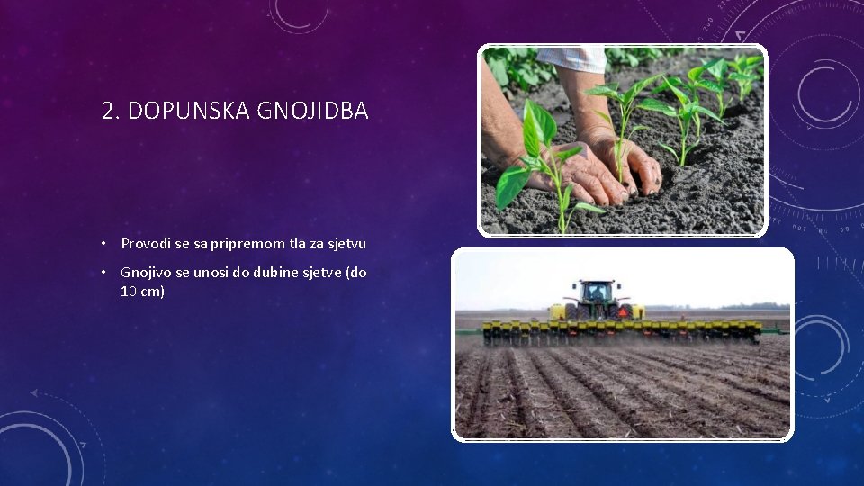 2. DOPUNSKA GNOJIDBA • Provodi se sa pripremom tla za sjetvu • Gnojivo se