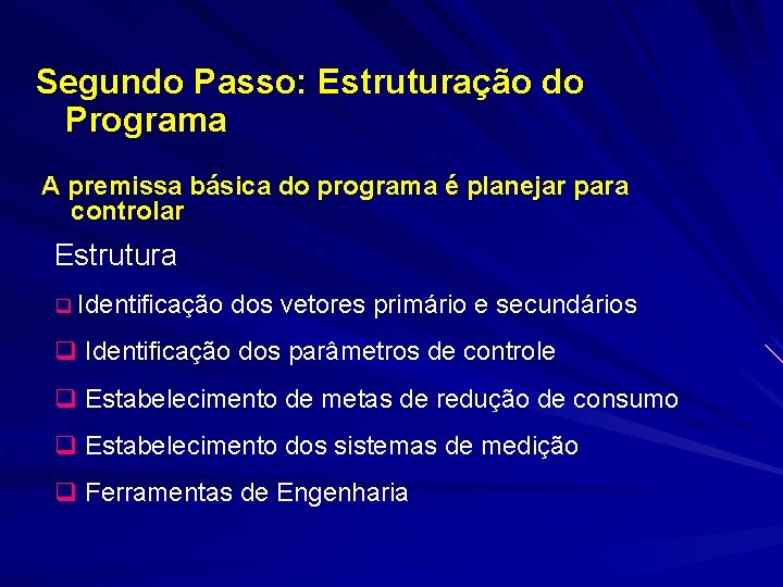 Segundo Passo: Estruturação do Programa A premissa básica do programa é planejar para controlar