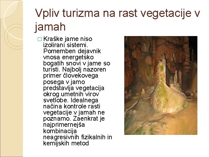 Vpliv turizma na rast vegetacije v jamah � Kraške jame niso izolirani sistemi. Pomemben