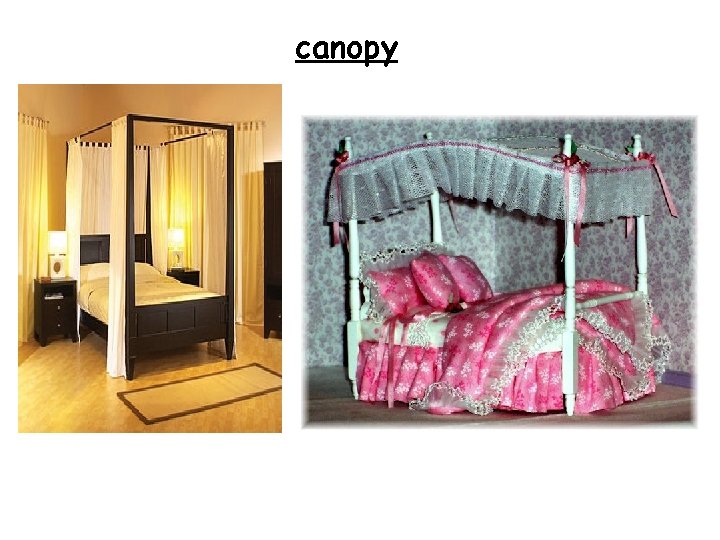 canopy 