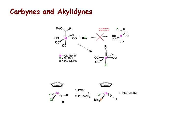 Carbynes and Akylidynes 