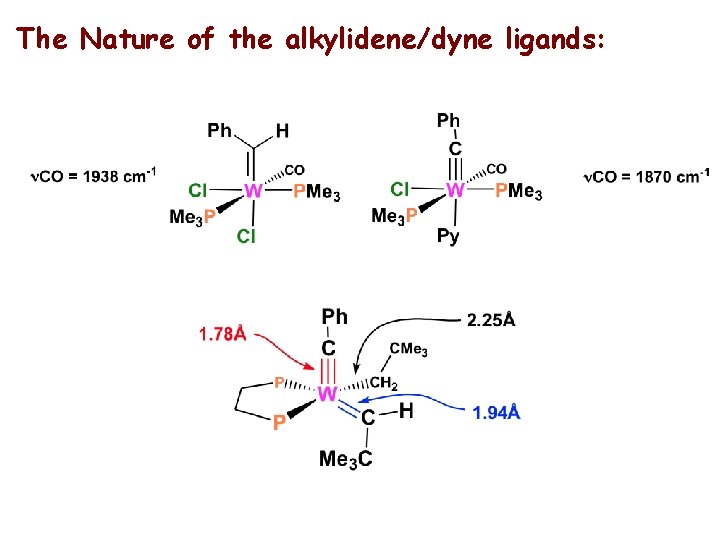 The Nature of the alkylidene/dyne ligands: 