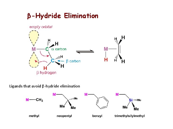 β-Hydride Elimination Ligands that avoid β-hydride elimination 