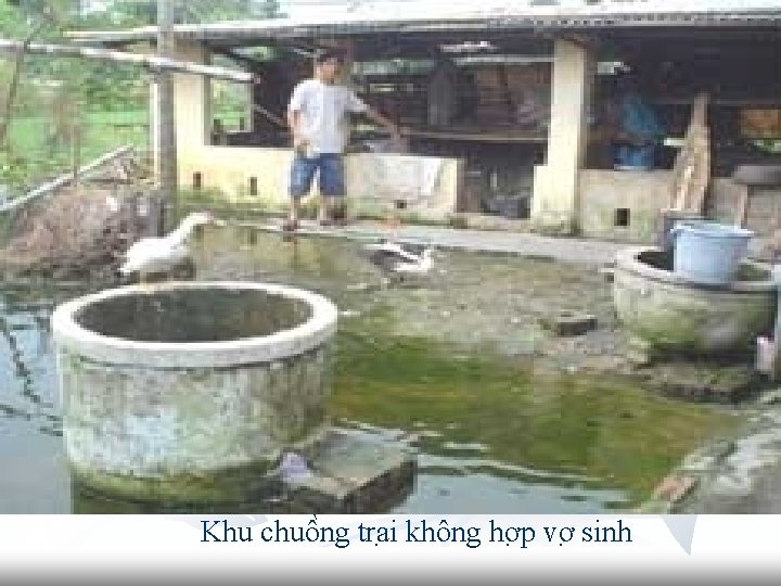 Khu chuô ng tra i không hơ p vơ sinh 