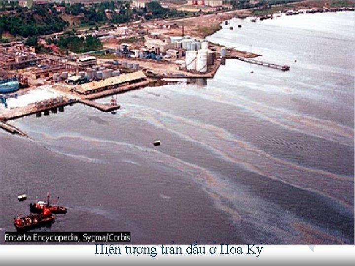 Hiê n tươ ng tra n dâ u ơ Hoa Ky 