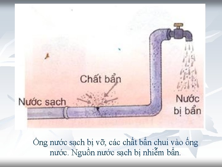 Ống nước sạch bị vỡ, các chất bẩn chui vào ống nước. Nguồn nước