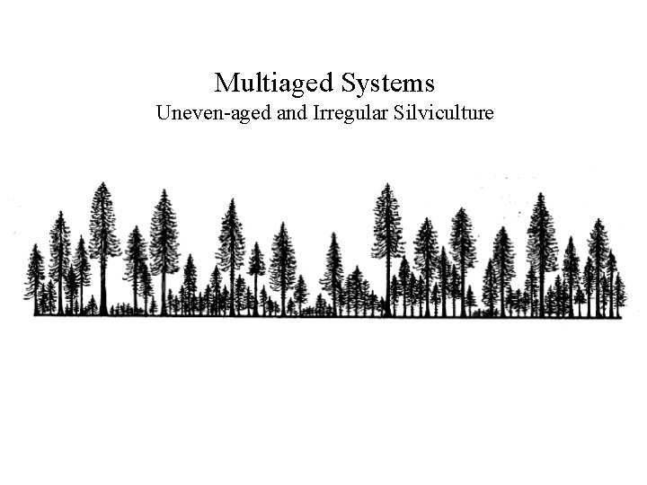 Multiaged Systems Uneven-aged and Irregular Silviculture 