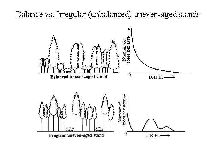 Balance vs. Irregular (unbalanced) uneven-aged stands 