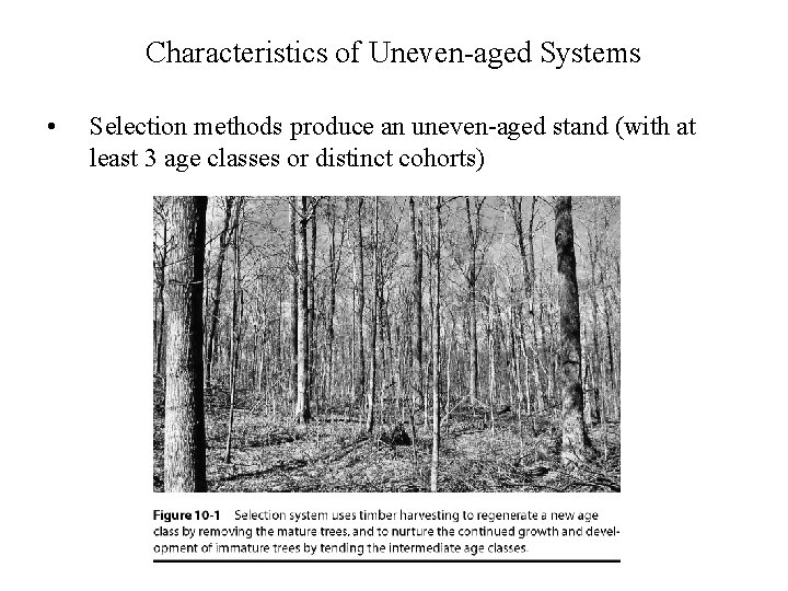 Characteristics of Uneven-aged Systems • Selection methods produce an uneven-aged stand (with at least