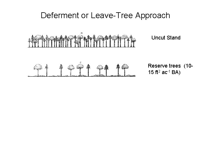 Deferment or Leave-Tree Approach Uncut Stand Reserve trees (1015 ft 2 ac-1 BA) 