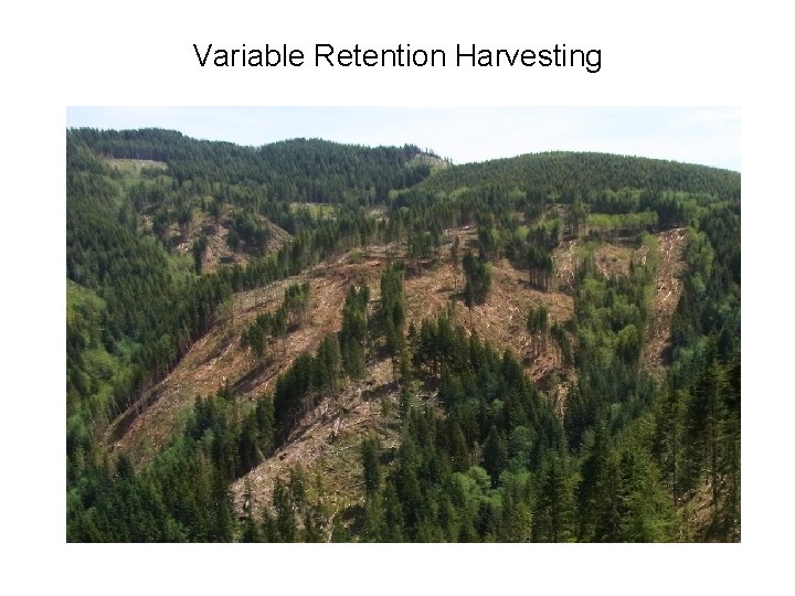 Variable Retention Harvesting 