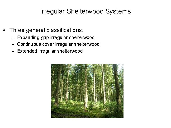 Irregular Shelterwood Systems • Three general classifications: – Expanding-gap irregular shelterwood – Continuous cover