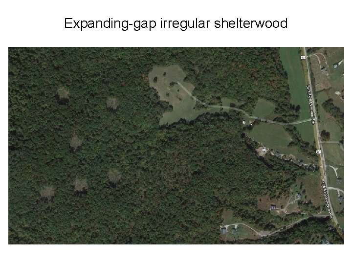 Expanding-gap irregular shelterwood 