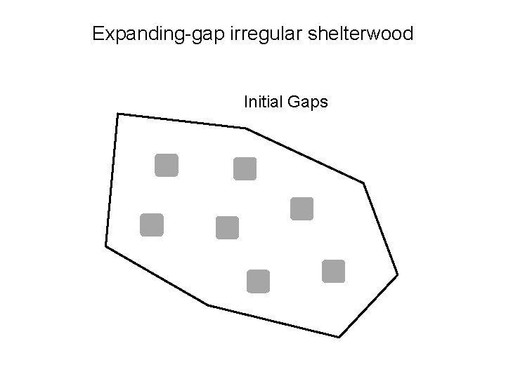 Expanding-gap irregular shelterwood Initial Gaps 