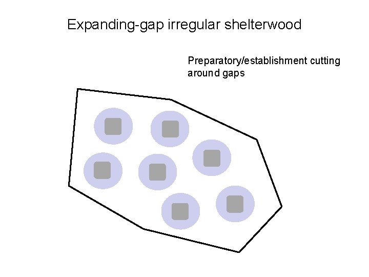 Expanding-gap irregular shelterwood Preparatory/establishment cutting around gaps 
