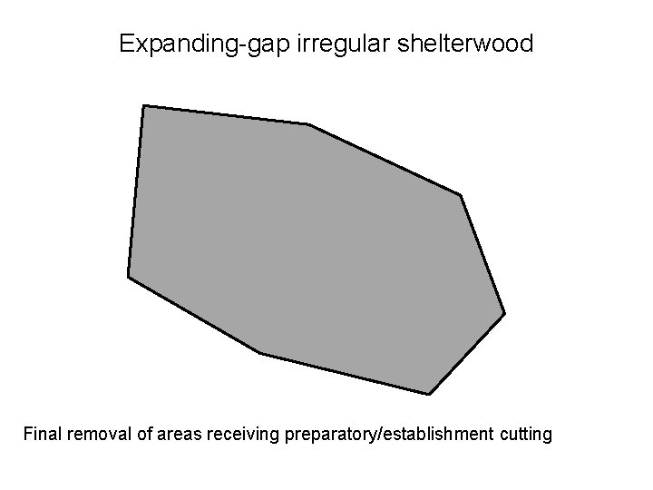 Expanding-gap irregular shelterwood Final removal of areas receiving preparatory/establishment cutting 