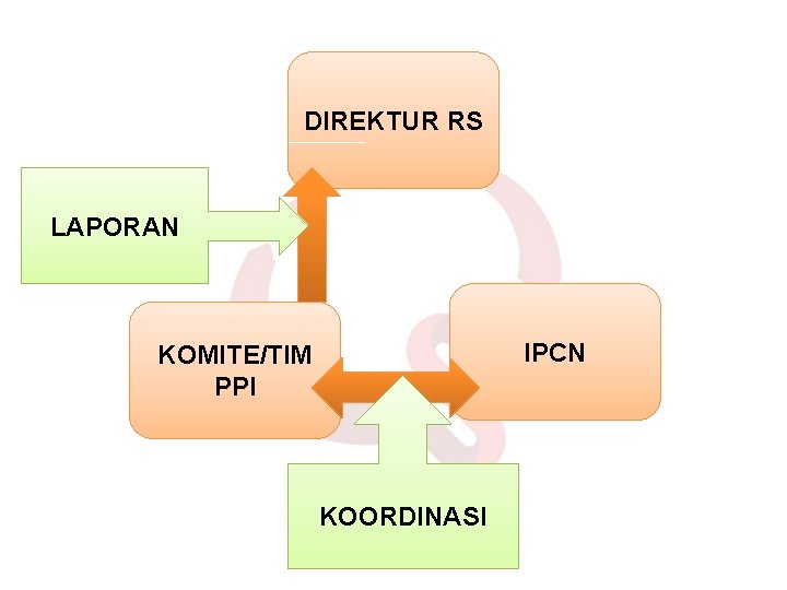 DIREKTUR RS LAPORAN IPCN KOMITE/TIM PPI KOORDINASI Edit 29 Juni 2017 DIREKTUR RS LAPORAN IPCN KOMITE/TIM PPI KOORDINASI Edit 29 Juni 2017