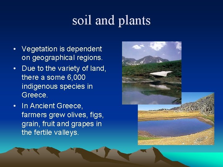 soil and plants • Vegetation is dependent on geographical regions. • Due to the