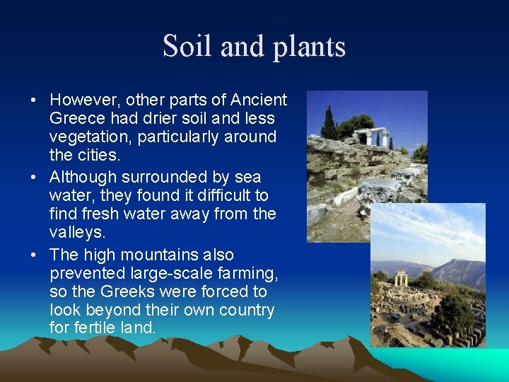 Soil and plants • However, other parts of Ancient Greece had drier soil and