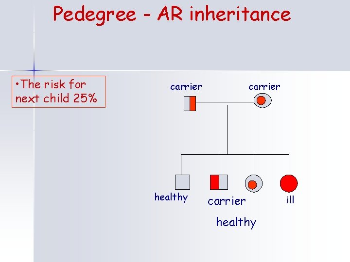 Pedegree - AR inheritance • The risk for next child 25% carrier healthy ill