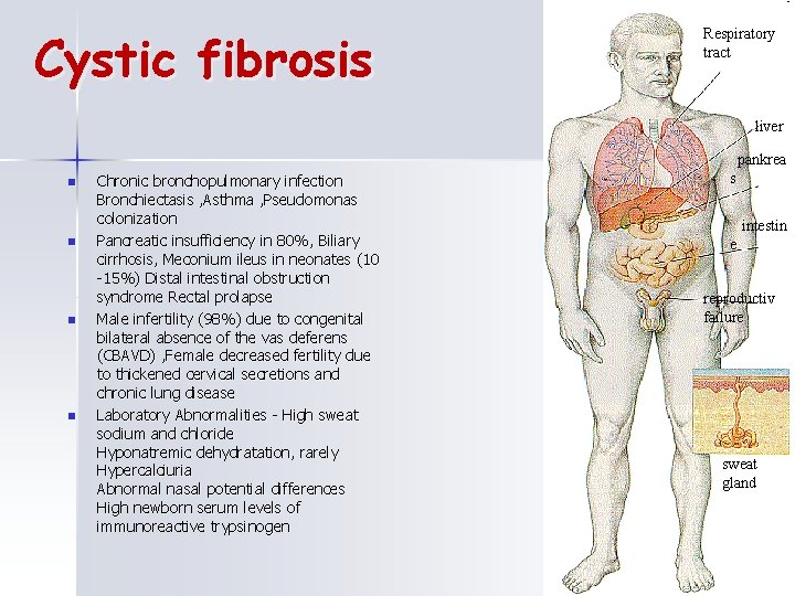 Cystic fibrosis Respiratory tract liver pankrea n n Chronic bronchopulmonary infection Bronchiectasis , Asthma