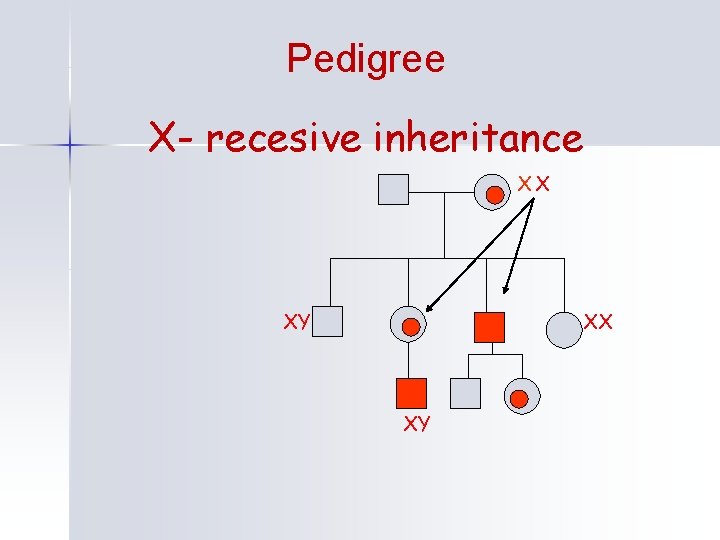 Pedigree X- recesive inheritance XX XY 