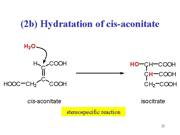 (2 b) Hydratation of cis-aconitate H 2 O H HOOC CH 2 C C