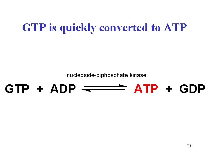 GTP is quickly converted to ATP nucleoside-diphosphate kinase GTP + ADP ATP + GDP