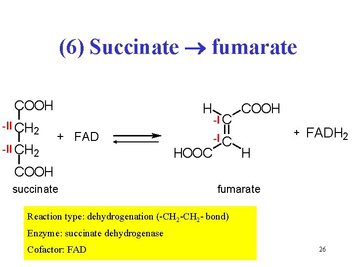(6) Succinate fumarate COOH -II CH 2 H + FAD HOOC -I C COOH