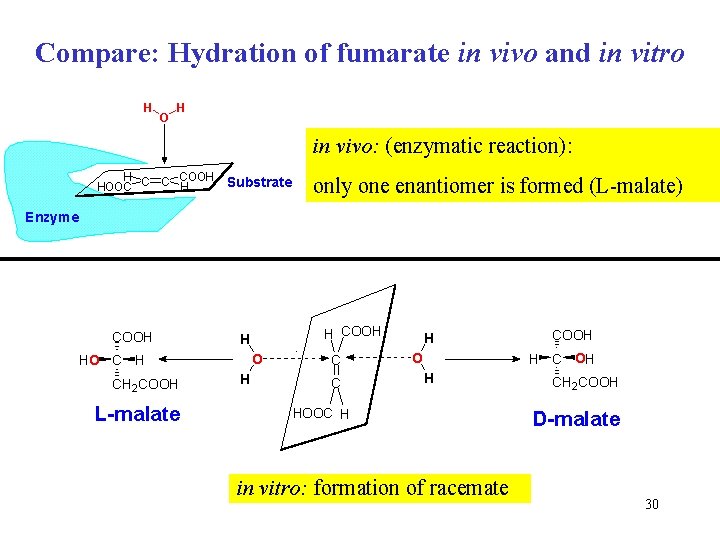 Compare: Hydration of fumarate in vivo and in vitro H O H in vivo: