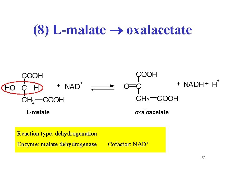 (8) L-malate oxalacetate COOH + HO C H CH 2 NAD + COOH L-malate