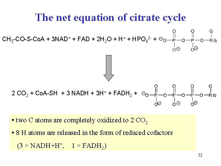 The net equation of citrate cycle CH 3 -CO-S-Co. A + 3 NAD+ +