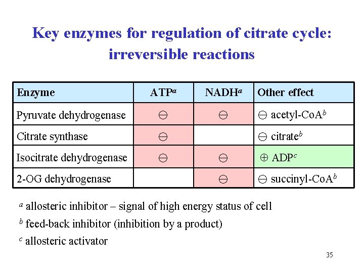 Key enzymes for regulation of citrate cycle: irreversible reactions Enzyme ATPa NADHa Pyruvate dehydrogenase