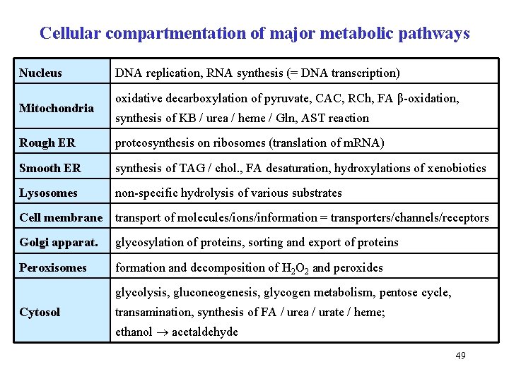 Cellular compartmentation of major metabolic pathways Nucleus Mitochondria DNA replication, RNA synthesis (= DNA