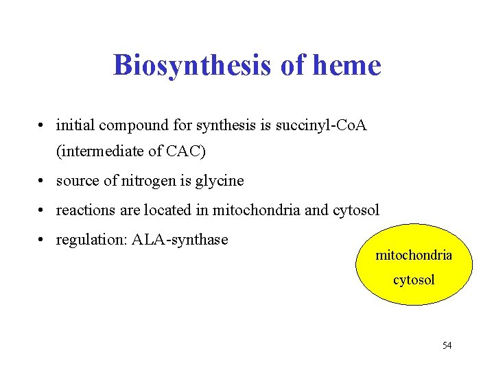 Biosynthesis of heme • initial compound for synthesis is succinyl-Co. A (intermediate of CAC)