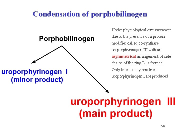Condensation of porphobilinogen Under physiological circumstances, Porphobilinogen due to the presence of a protein